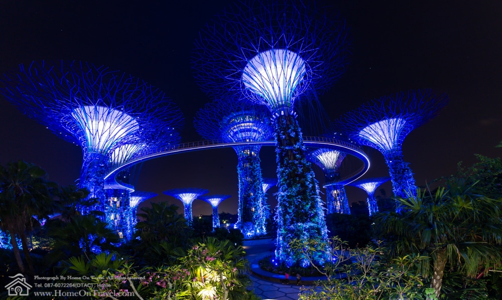 Home On Travel - Night view of The Supertree at Gardens by the Bay in Singapore