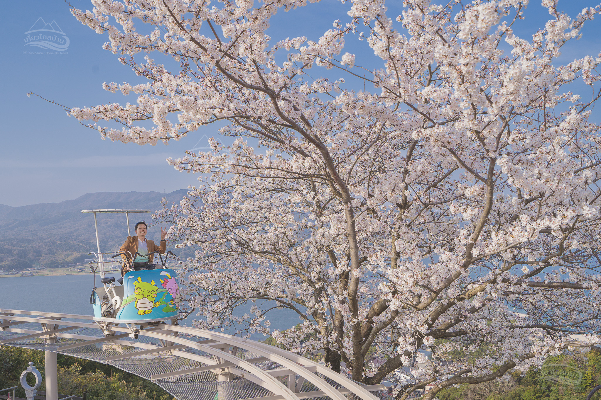 amanohashidate view land