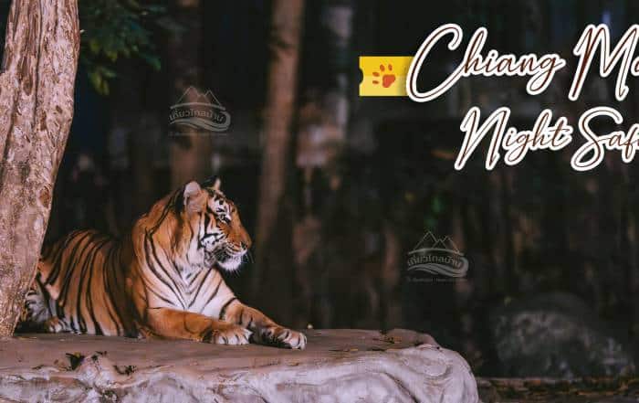 chiangmai night safari