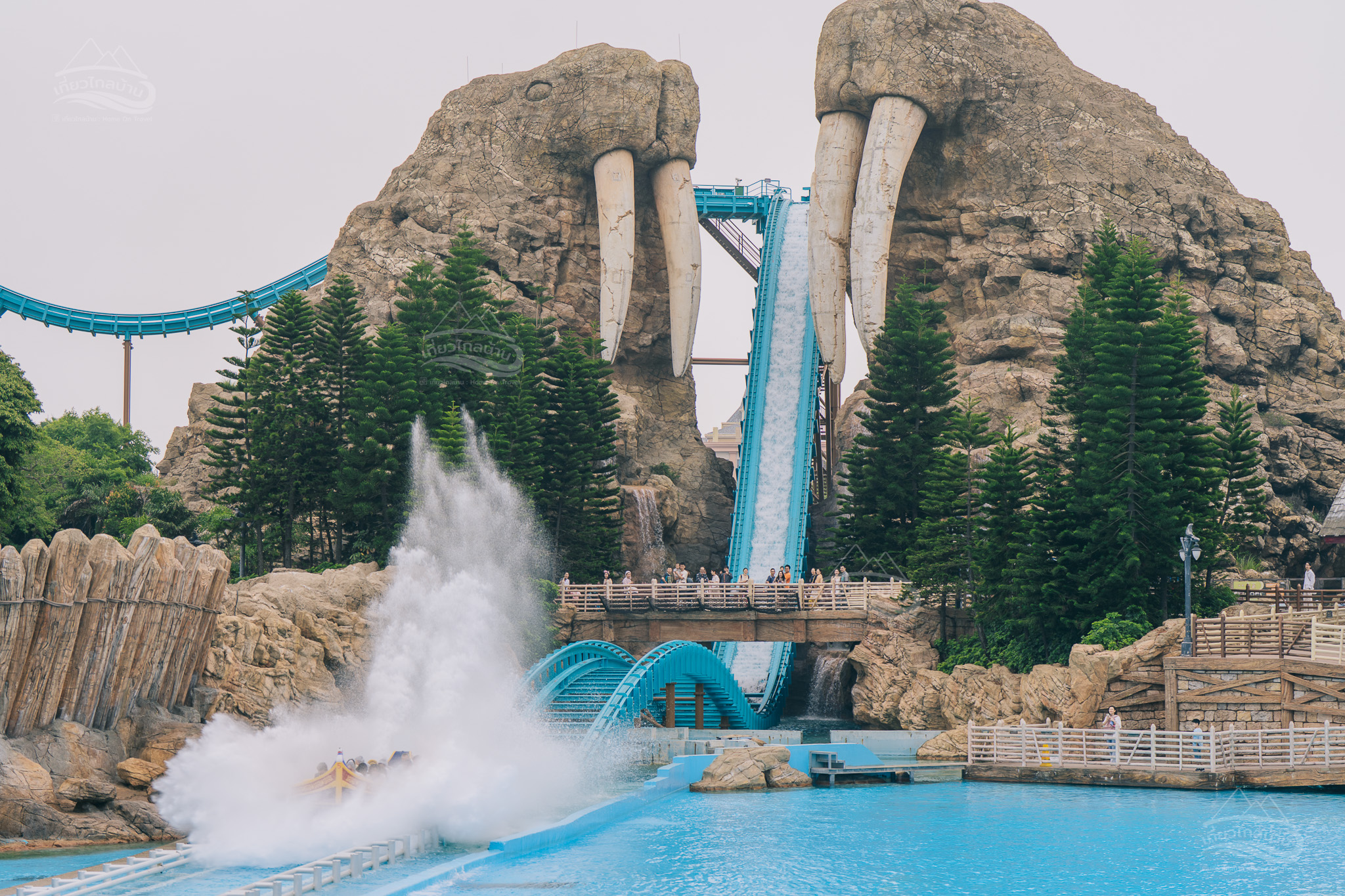 wallat splash