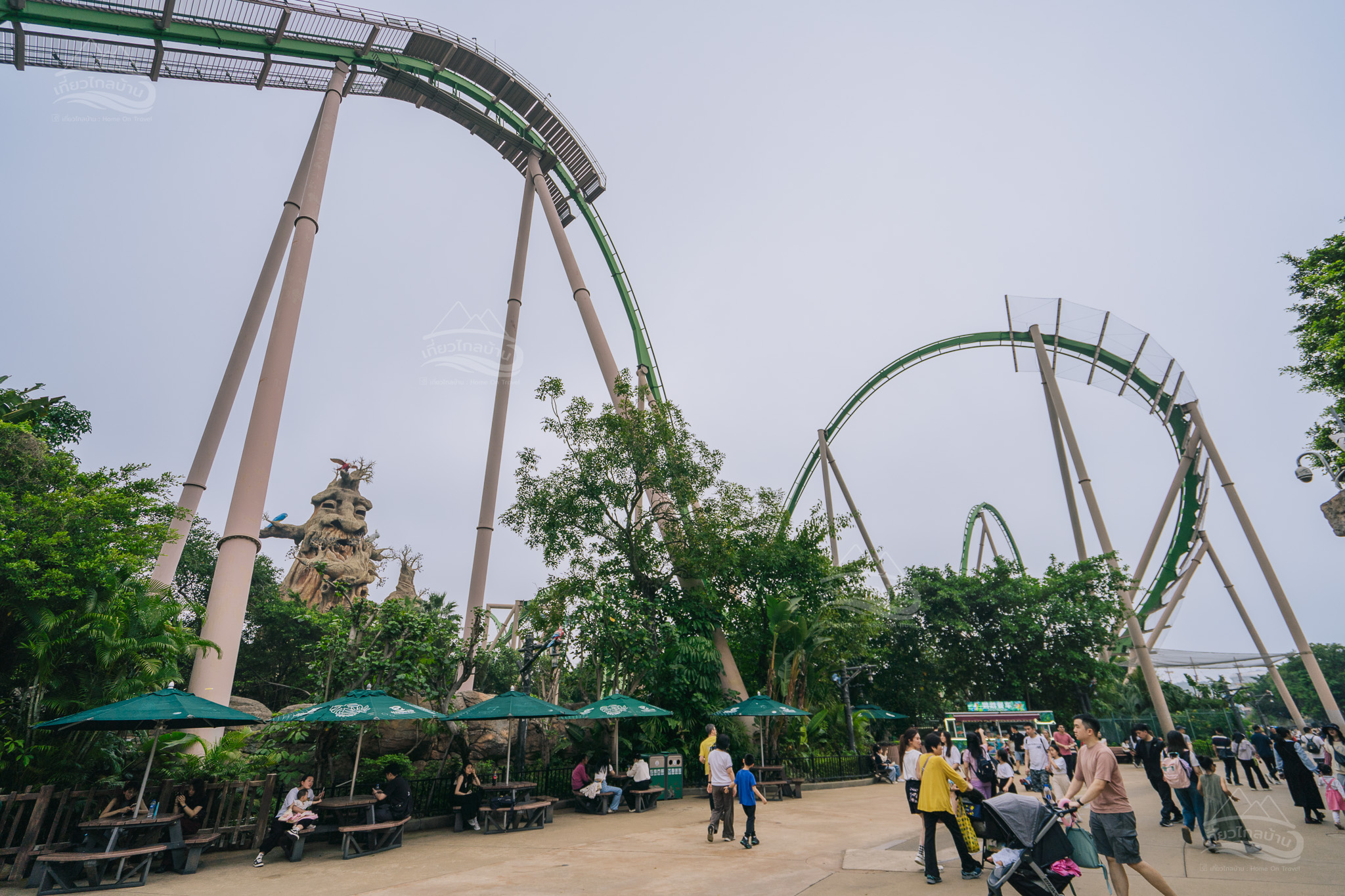 parrot coaster