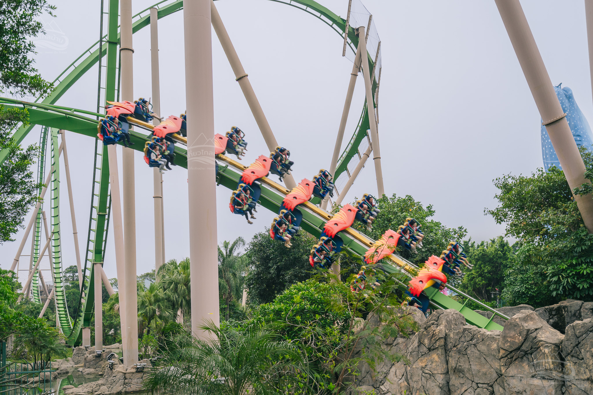 parrot coaster