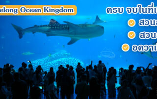 chimelong ocean kingdom