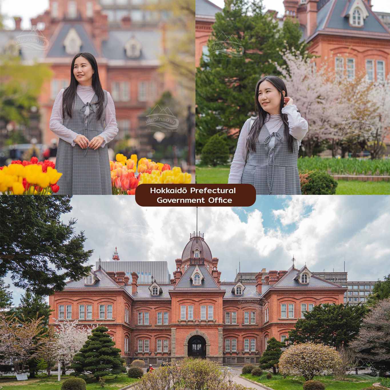 Hokkaido Prefectural Government Office