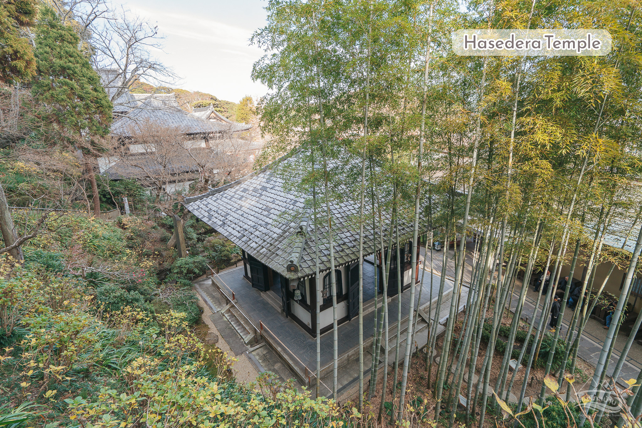hasedera temple