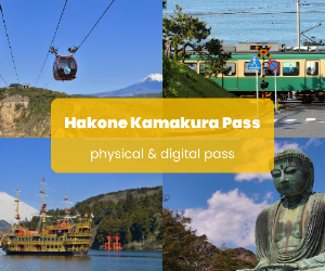hakone kamakura pass