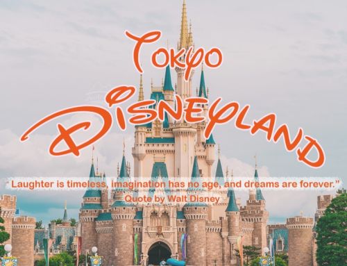 รีวิว Tokyo Disneyland พร้อมวิธีจองบัตร DPA และ Priority Pass