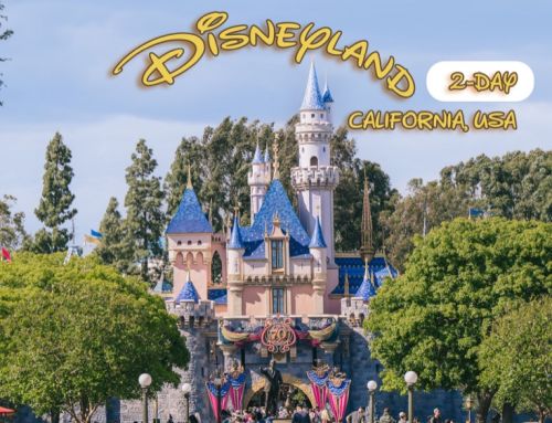2-Day in Disneyland Park California USA