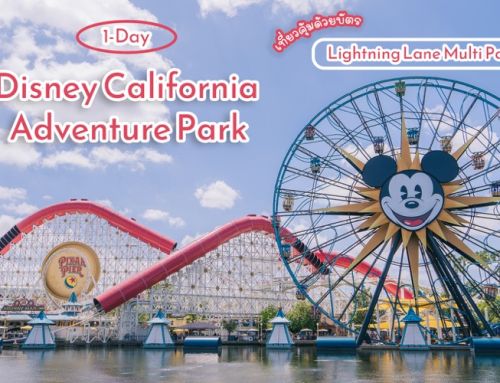 1 Day in Disney California Adventure Park